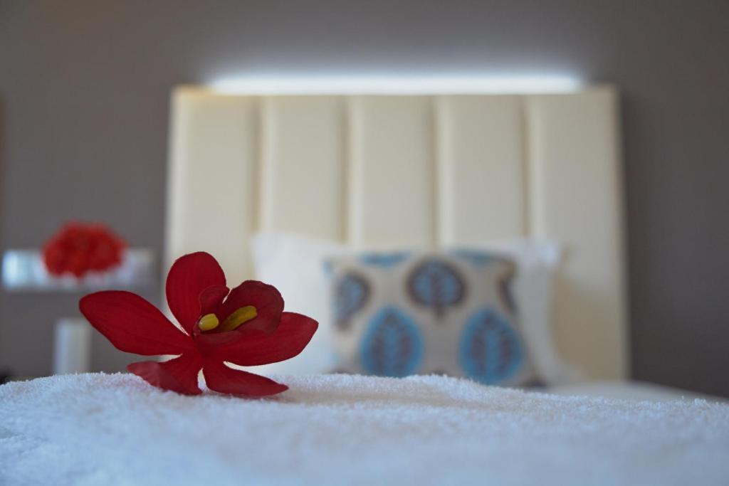 Hotel Azinheira By Ridan Hotels Fatima Camera foto